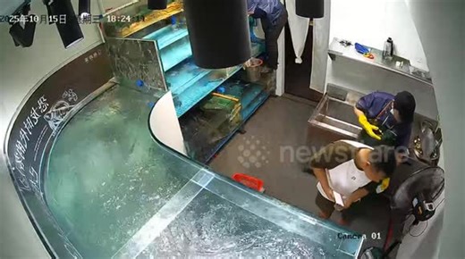 Restaurant fish tank bursts sending seafood swimming to tables