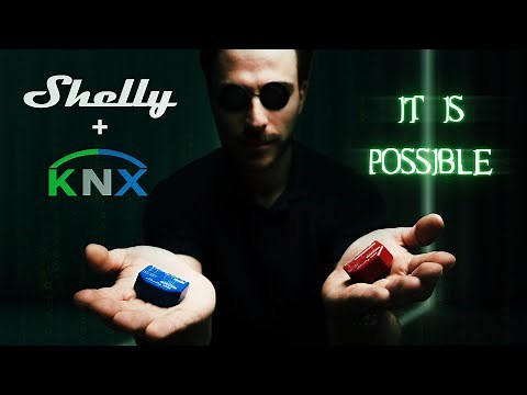 Use Shelly Matter devices with KNX | 1Home Lab