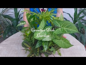 Dish Garden Design | Beautiful Indoor Plant Arrangements