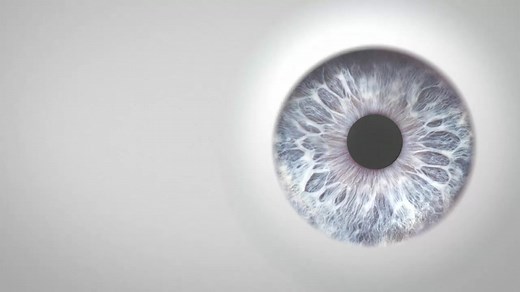 256 reactions · 33 shares | ZEISS IOLMaster 700 com Topografia Central. Inscreva-se agora e tenha acesso ao material completo sobre Topografia Central com casos clínicos. #ZEISSmeditec #IOLMaster #oftalmologia #topografia #cornea #cirurgiadecatarata *Nem todos os produtos, serviços ou ofertas estão aprovados ou disponíveis em todos os mercados. | ZEISS Medical Technology | Facebook