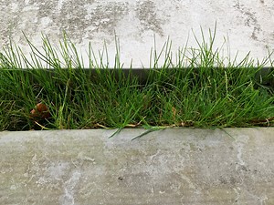 Gutter Cleaning | Hydro-Active