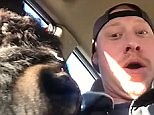 Man gets up close and personal with very friendly bison