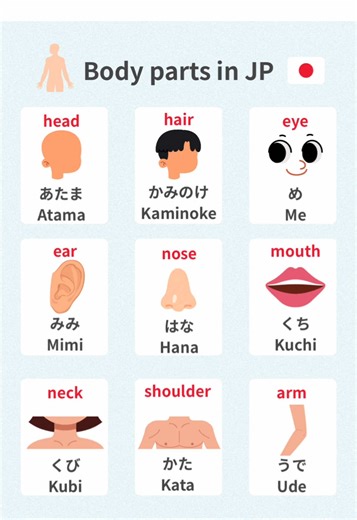 Let’s learn Japanese body parts together！ #japanese #nihongo #japaneselesson #japan