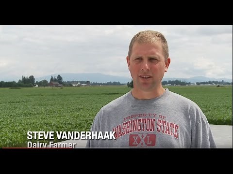 Anaerobic Digestion: Beyond Waste Management