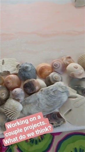 Seashell projects 🌊