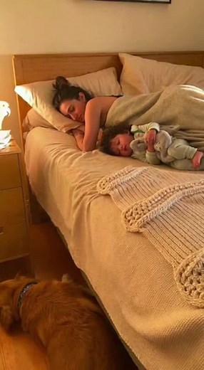 Amazon Parrot Alarm Clock: Hilarious Chaos Mode