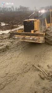 561K views · 10K reactions | Crossing the swamp | Wild Nature | Facebook