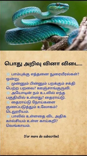 “Snake Secrets That Will Blow Your Mind 🤯 | Tamil Knowledge