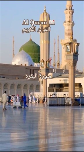 Al Quran 📖 Surah Al Baqarah Urdu translation ❤️#qurantilawat #quranictranslation #peaceful #hidayat