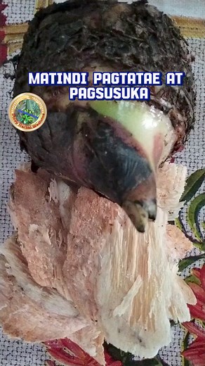Gamot sa matinding pagtatae at pagsusuka #herbalremedies #fbreels #tips #everyone | Pinoy Medicine