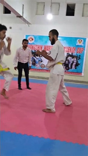 karate fighting training video | martial arts training lessons | kyokushan karate punch training