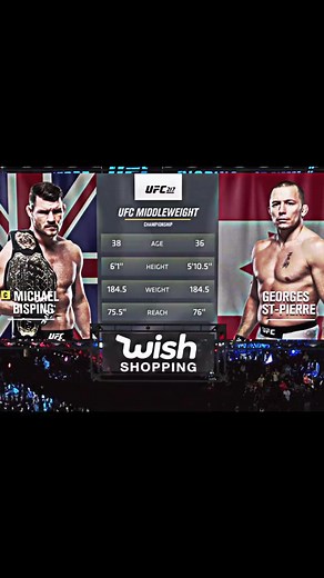 GSP vs Michael Bisping UFC Fight Highlights