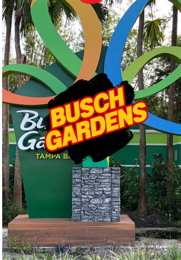 Exploring Busch Gardens Tampa's Wild Oasis