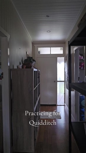 Quidditch Dreams: Joining Team Gryffindor!