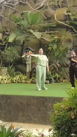 I feel extra brave today dahil I got the chance to swim with the world's largest fish, "Butanding". Just keep in mind lang ang mga dos and don'ts while swimming with them! Tuloy-tuloy ang ating Cebu adventure! WATCH MY LATEST VLOG TONIGHT at 8PM! #MarielPadilla #TeamPadilla #MarielPadillavlog #cebu #traveldestination | Mariel Rodriguez Padilla