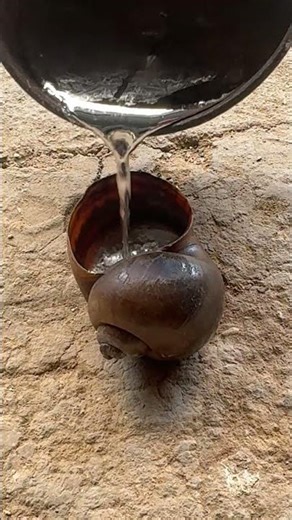 This aluminum shell casting might be the most mesmerizing thing you'll see today #shorts #viral #art