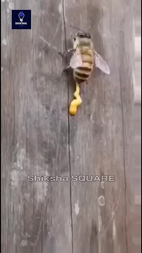 239K views · 1.1K reactions |...