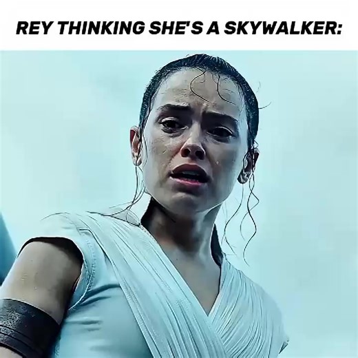 Fake Skywalker Ray