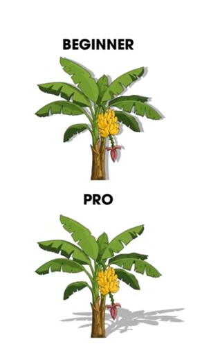 Adobe Illustrator 2026 – Pro Drop Shadow Effects for Trees