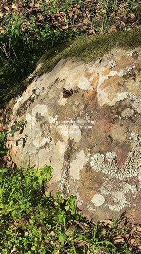 Embrace the Life You Desire Through Travel