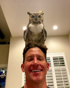 4.5M views · 137K reactions | This is what it's like living with an owl 黎 | UNILAD | Facebook