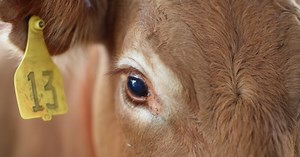 Anthrax found at Indiana livestock farm