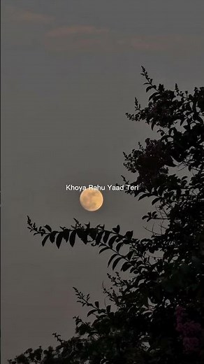Bairan | Khoya Rahu Yaad Teri Karke Nadaniyan | 💫❤️ #shorts #aesthetic #lyrics #song #bairan #viral