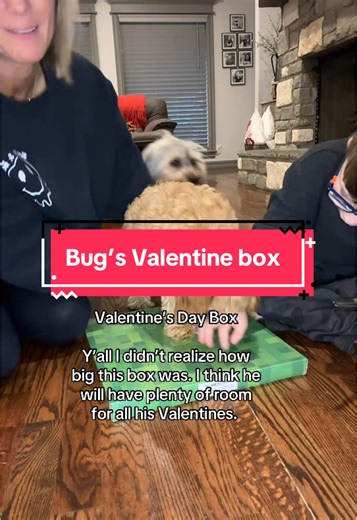 Buggy’s valentine box #valentinesday