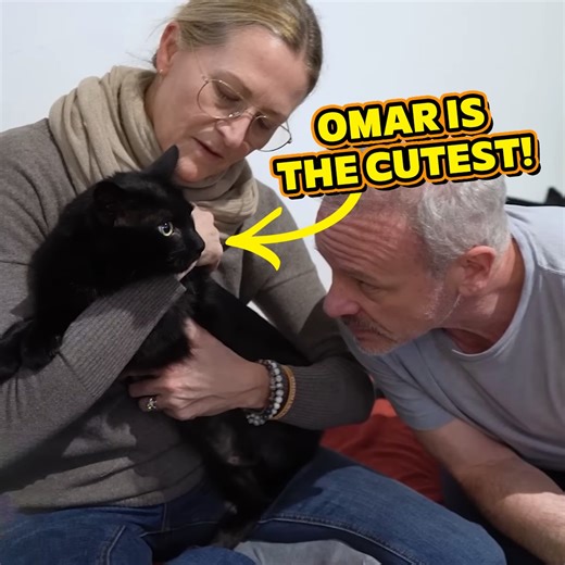 Beautiful Black Cat Gets A Second Adjustment | Animal Cracker