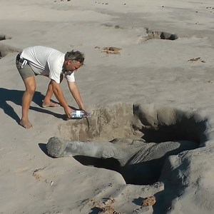 53K views · 582 reactions | Saves Elephants Stuck In The Desert #SavesElephants #RescueElephants | Wild Animal World | Facebook