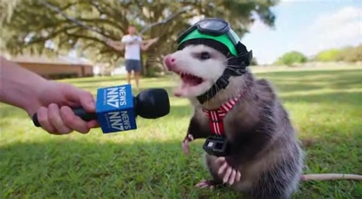 An Interview with the Possum after being launched #rosscreations | The Bushman