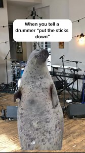 The whole practice😂 #drums #drummer #jokes #comedy #funny #reel #reels #explore #explorepage✨ | Joshua Tucker