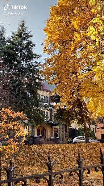 i’m behind on constitutional law readings but i’m excelling at enjoying a crisp autumn morning 🍂☕️📖#autumn #fall #college #lawschool #mcgill #montreal #uni #campus #autumnaesthetic