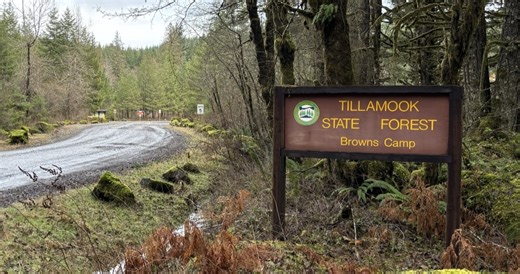 Popular Tillamook State Forest campsite switches to reservation only system
