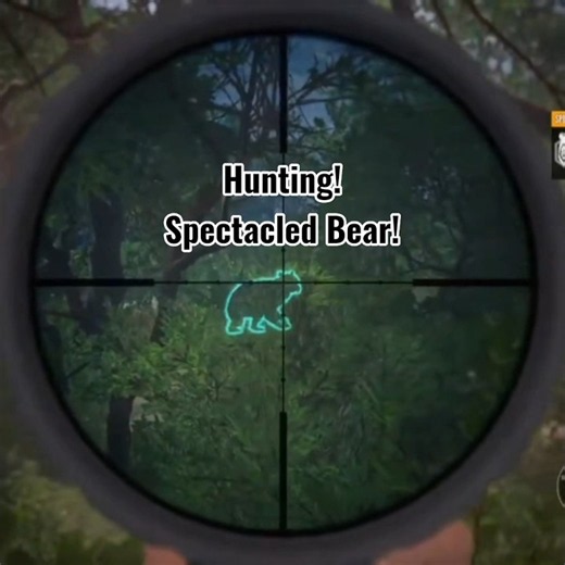 Hunting Spectacled Bear / TheHunter Call Of The Wild / #thehuntercallofthewild #hunting