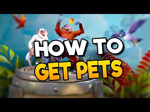 How To Get Pets In Sea Of Thieves