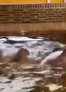 The world s most useless lever | New Era TV