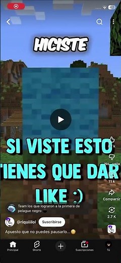 Lo hice