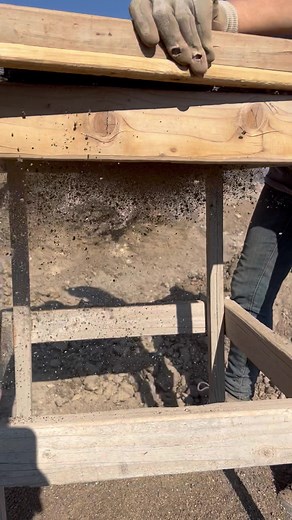 856K views · 3K reactions | We found some amazing sunstone at the spectrum mine now to find some opal at Royal Peacock Opal Mine Seasons are wrapping up for the year but you still have time! | That Camping Couple | Facebook