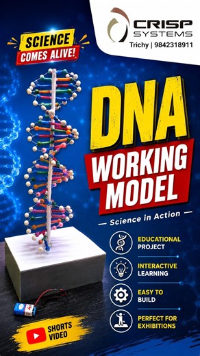 Rotating DNA Working Model | Double Helix Biology Project | Biology School Project #Shorts