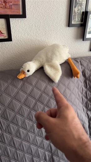 La profunda metáfora del Patito Feo