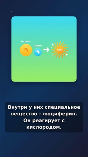 Биолюминисценция Что это и как работает?