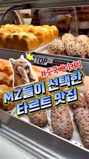 중국 MZ들이 선택한 타르트 맛집🧁 #중국 #중국디저트 #타르트