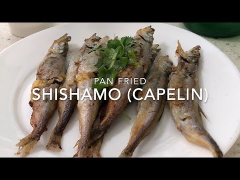 Pan-Fried Shishamo (Capelin) Fish: Homemade Recipe - Step by step tutorial guide on how to cook