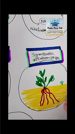 #symbiotic #relationship #microbes #shorts #shomusbiology #trending