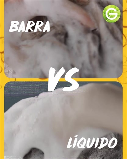 Tan nutrituvo como un shampoo líquido, 94% origen vegetal y sin residuos plásticos. | Garnier