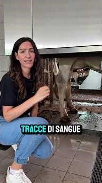 Sai quante informazioni ti dà il robot Merlin?