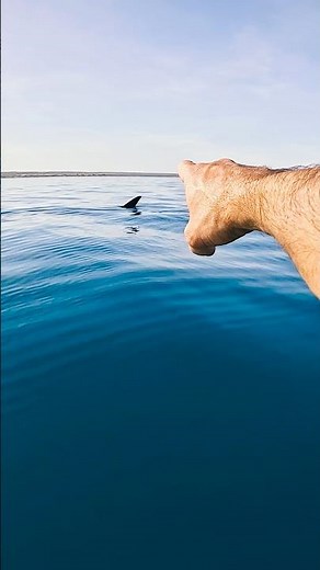 Transparent Kayak - World’s Largest Shark