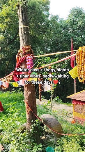 Bijaya Axami (@anjananjan018)’s videos with original sound - 🚩