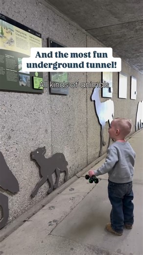 The hidden pool design everyone is talking about